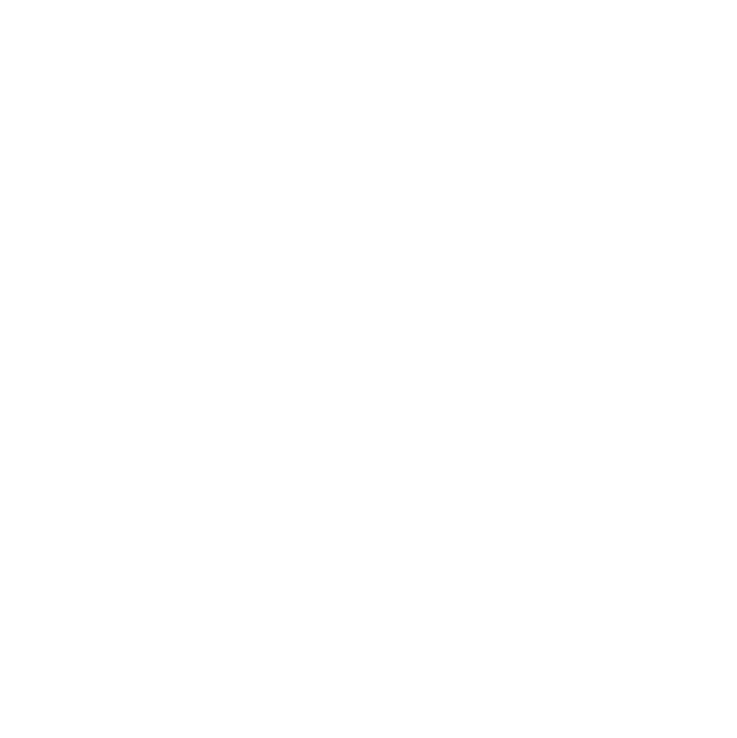 Military Chevron Badge Icon